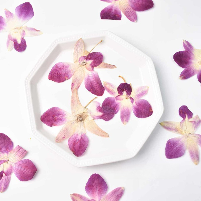 Resin Art Baby - 4 piezas, Flores de Orquídea Mariposa