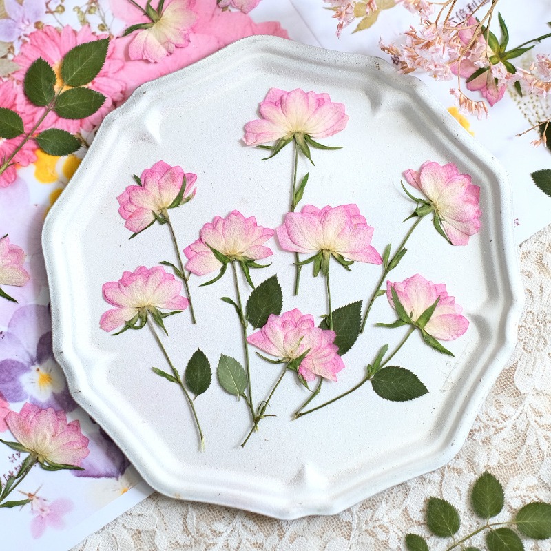 Resin Art Baby - 12 Piezas de Flores Secas Prensadas