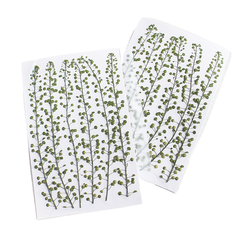 Campana verde de Color Natural - Resin Art Baby reseña y precio