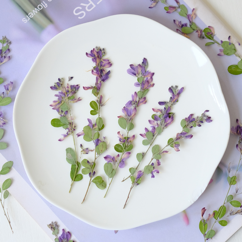 6 piezas, Flores Secas y Prens - Resin Art Baby reseña y precio