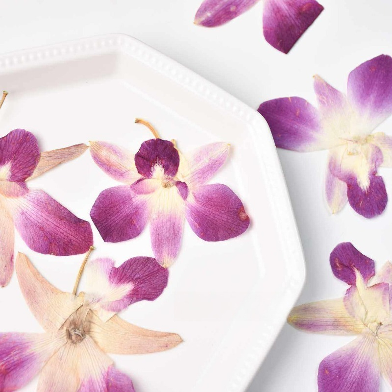 4 piezas, Flores de Orquídea M - Resin Art Baby reseña y precio