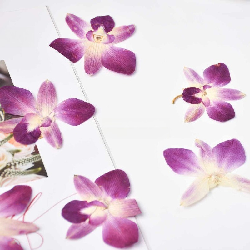 4 piezas, Flores de Orquídea M - Resin Art Baby reseña y precio
