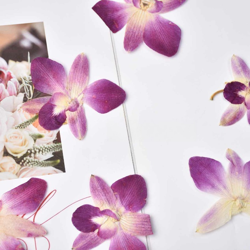 4 piezas, Flores de Orquídea M - Resin Art Baby reseña y precio