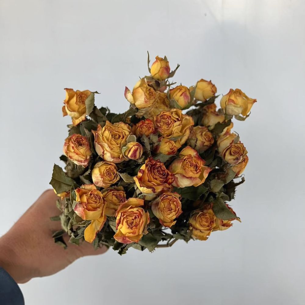 Rosas naturales preservadas, r - Resin Art Rose reseña y precio