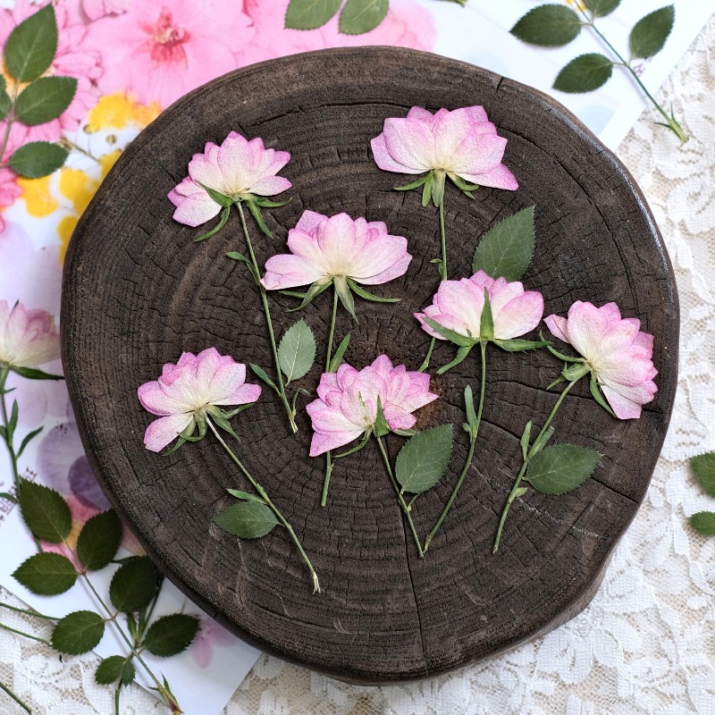 12 Piezas de Flores Secas Pren - Resin Art Baby reseña y precio
